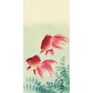 Ohara Koson - Two Veil Goldfish Slika na platnu, (30 x 60 cm)