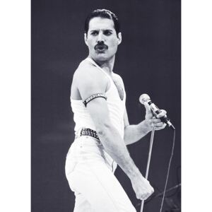 Freddie Mercury - Live Aid Poster, (59,4 x 84,1 cm)