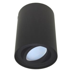 Reflektorska svjetiljka CORONA 1xGU10/30W/230V crna