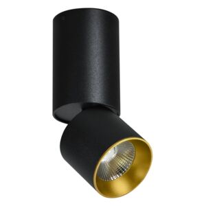 LED Stropna reflektorska svjetiljka LED/10W/230V
