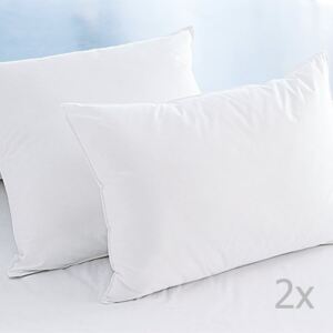 Set s 2 bijela jastuka od mikrofibra, 50 x 70 cm