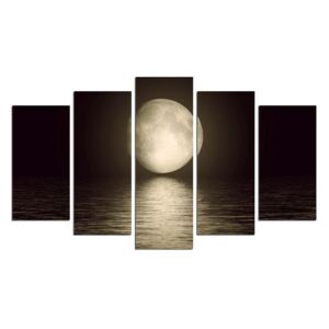 Višedijelna zidna slika Moon Over The River