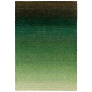 Zeleno-sivi tepih Asiatic Carpets Ombre, 160 x 230 cm