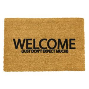 Otirač od prirodnog kokosovog vlakna Artsy Doormats Welcome Don´t Expect Much, 40 x 60 cm