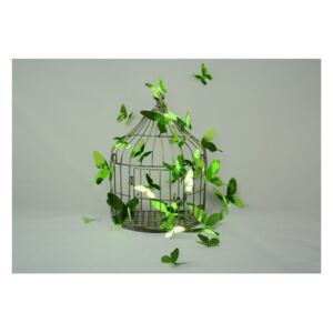 Set od 12 naljepnica s 3D efektom Ambience Butterflies Green