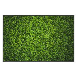 Zeleni tepih Oyo home Ivy, 100 x 140 cm