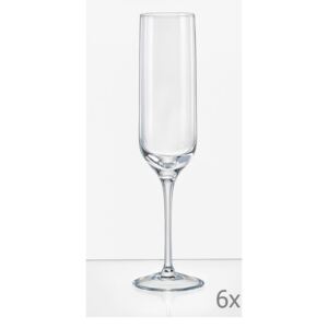 Set od 6 čaša šampanjca Crystalex Uma, 200 ml