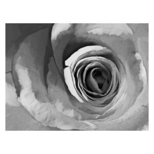 Cijeli Format Wallpaper Artgeistički papir ruža, 400 x 309 cm