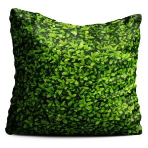 Zeleni jastuk Oyo home Ivy, 40 x 40 cm