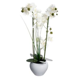 Orhideja u posudi 53cm bijela