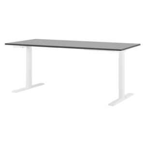 Zondo Pisaći stol- DESIRA II (180x80 cm) (crna + bijela) (ručno podesiv)