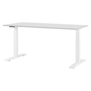 Zondo Pisaći stol- DESIRA II (180x80 cm) (siva) (el. podesiv)
