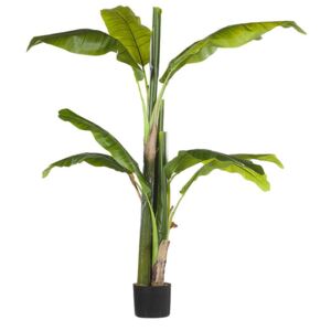 Zondo Umjetna biljka 154 cm BANNA