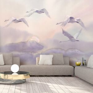 Foto tapeta - Flying Swans