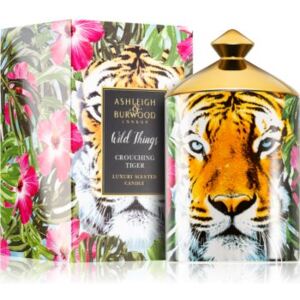 Ashleigh & Burwood London Wild Things Crouching Tiger mirisna svijeća 320 g