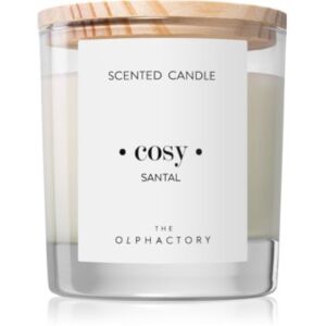 Ambientair Olphactory Santal mirisna svijeća (Cosy) 200 g