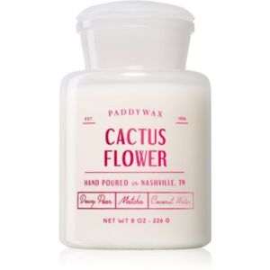 Paddywax Farmhouse Cactus Flower mirisna svijeća 226 g