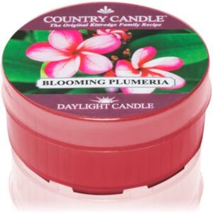 Country Candle Blooming Plumeria čajna svijeća 42 g