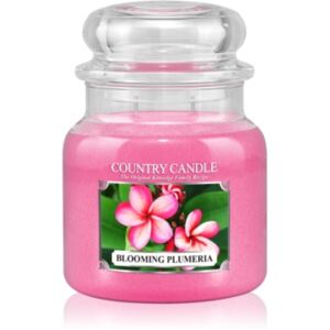 Country Candle Blooming Plumeria mirisna svijeća 453 g
