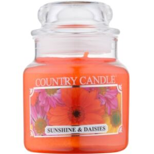 Country Candle Sunshine & Daisies mirisna svijeća 104 ml