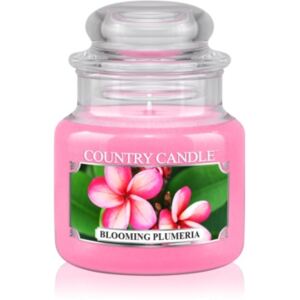 Country Candle Blooming Plumeria mirisna svijeća 104 g