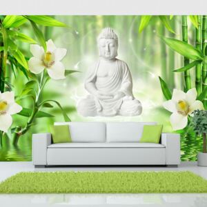 Foto tapeta - Buddha and nature